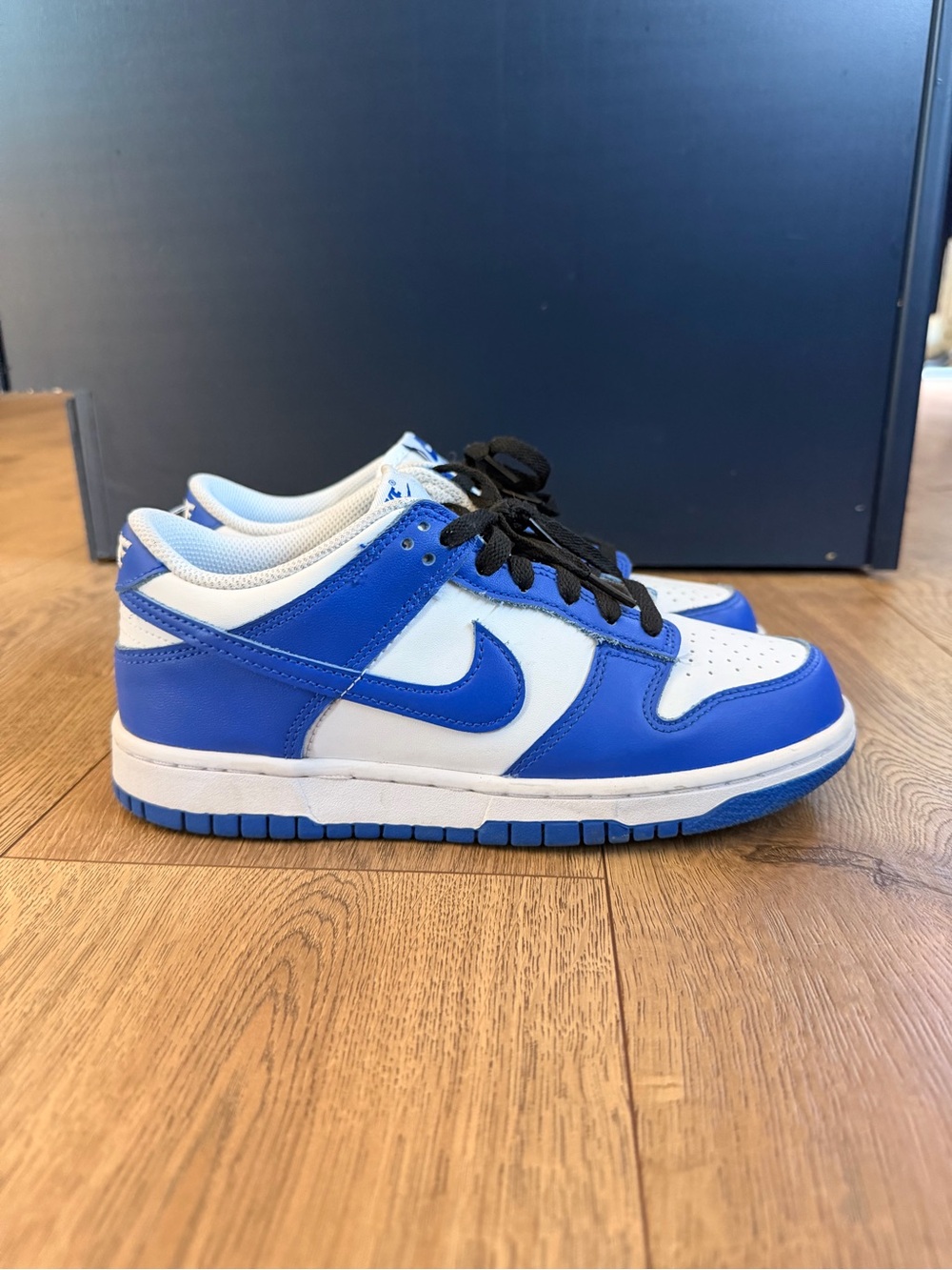 Kids Nike Dunk